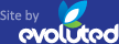 Evoluted New Media